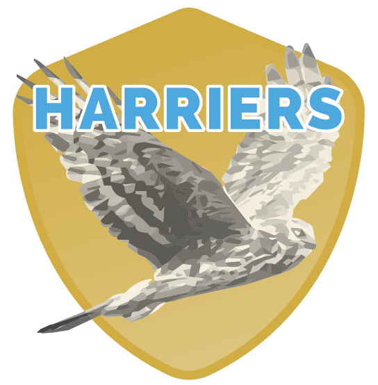 Harriers