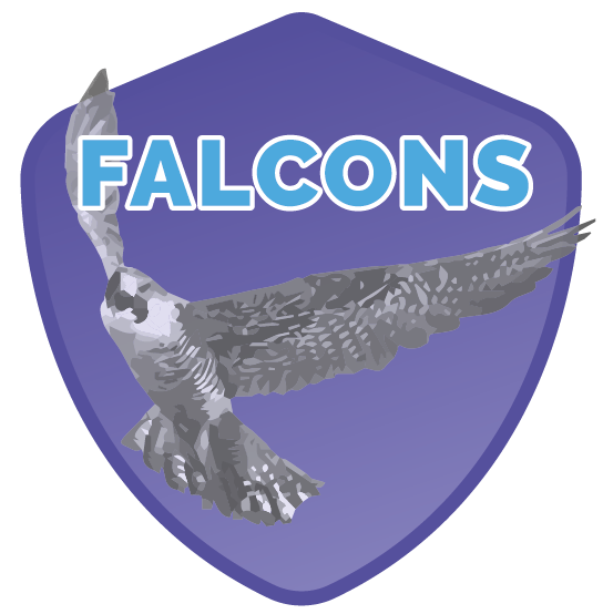 Falcons