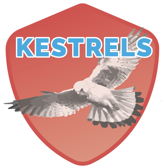 Kestrels